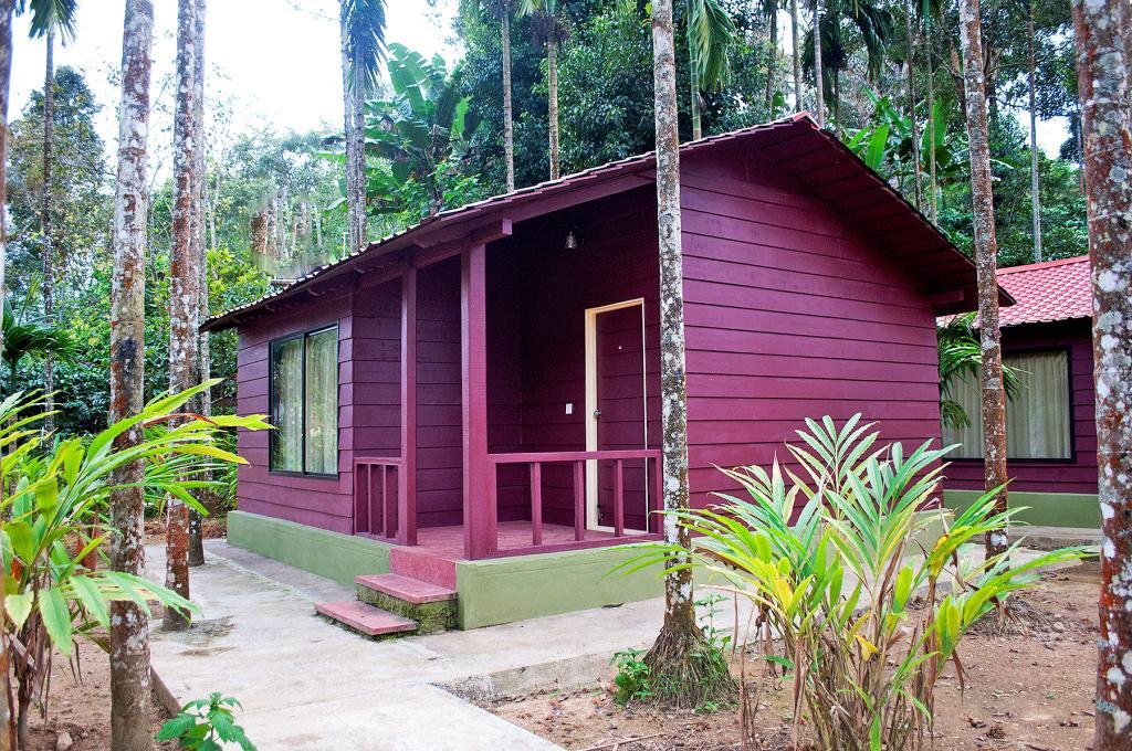 La Flora Prakruth Resort Coorg Madikeri Exteriér fotografie