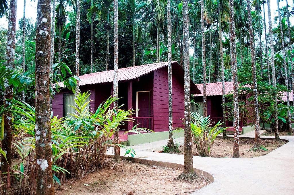 La Flora Prakruth Resort Coorg Madikeri Exteriér fotografie